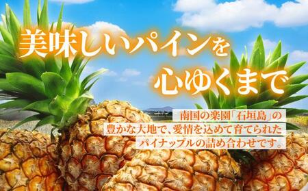 訳あり 石垣さんちのおすすめパイン詰め合わせ　8～10玉 (約5kg)《2026年4月中旬から順次発送》TP-21