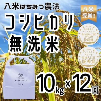 ふるさと納税 阿賀野市 【令和8年産新米先行受付】12回定期便 八米 はちみつ農法コシヒカリ 無洗米 10kg×12回