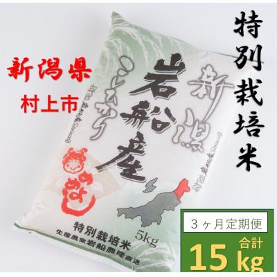 ふるさと納税 村上市 【毎月定期便】特別栽培米  新潟県岩船米コシヒカリ　精米5kg 計15kg　全3回