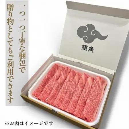 【毎月定期便】厚切り【飛騨牛】サーロインステーキ500g(250g×2枚)全6回【配送不可地域：離島】【4083370】