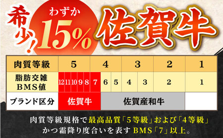 【全12回定期便】佐賀牛 肩ロース スライス 500g【田中畜産牛肉店】黒毛和牛 霜降り しゃぶしゃぶ すき焼き[HBH014] 佐賀牛 牛肉 黒毛和牛 佐賀牛 牛肉 霜降り 佐賀牛 牛肉 しゃぶしゃ