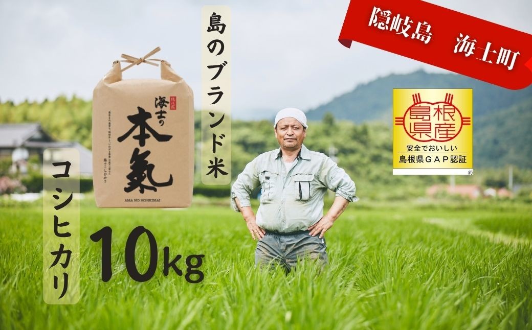 
                  【令和7年度産 本氣米10kg：コシヒカリ】甘くてもっちり島のブランド米 本氣米 お米 新米 精米 白米 ごはん ご飯  海士町 島根県 こしひかり お米  おこめ 国産 コメ ライス
                