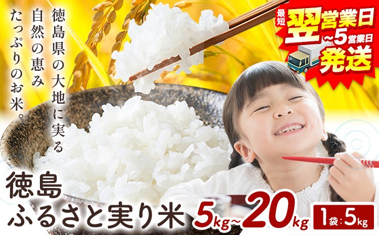 
                  ＼1~5営業日以内に発送／ もちもち美味しい！ 徳島ふるさと実り米 精米 5kg～20kg 徳島県 上板町 お米 米 白米
                