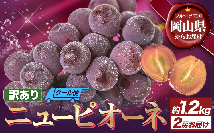 【先行予約】訳あり ニューピオーネ 約1.2kg 2房 葡萄 果物 秋旬 訳あり 優品 厳選出荷 スイーツ フルーツ デザート 岡山県 浅口市《2025年9月中旬-11月上旬頃出荷》ブドウ ぶどう ご家庭用