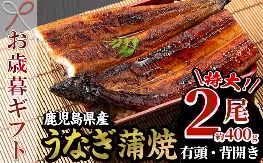 【令和7年お歳暮対応】厳選！ 国産 鹿児島県産 うなぎ  蒲焼 特大 2尾 約400g 新仔うなぎ 地焼き 秘伝のタレ 付き うな重 うな丼 きざみ鰻 せいろ蒸し 弁当 贈答 ギフト【南竹鰻加工】【SB-038H】