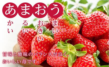 福岡県産　冷凍あまおう500g（250ｇ×2個）