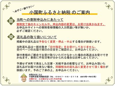 【トモヨシ】純国産 馬刺し 4種 上赤身 霜降り 馬ユッケ 馬レバー 各100g 計400g 希少部位 定番 熊本名物 国内肥育 熊本と畜 贈り物 贈答 ギフト 急速冷凍 小分け 真空パック 鮮度を保
