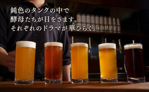 
高知生まれのクラフトビール「山本麦酒」5本詰め合わせセット
