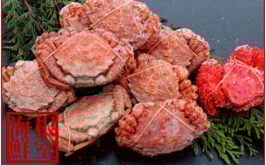 A-57045【12/21まで年内配送】 【北海道根室産】クリガニ8～9尾(計2kg前後)、花咲ガニ1尾