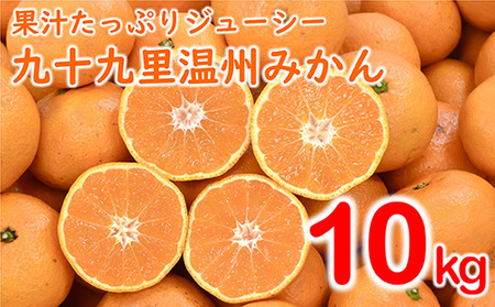 【訳あり】九十九里温州みかん 約10kg 千葉県 山武市 SMBZ001 みかん ミカン 蜜柑 温州 温州みかん 温州ミカン 興津早生 おきつわせ 早生 早生みかん 早生ミカン わせみかん 10kg 10キロ 訳あり わけあり 訳アリ ワケアリ 果物 くだもの フルーツ柑橘 かんきつ 柑橘類 柑橘系 家庭用 箱入り 箱 数量限定 期間限定 季節限定 季節のフルーツ 季節の果物