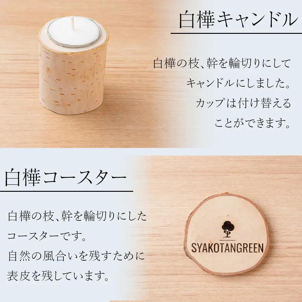 ≪数量限定≫積丹【白樺テーブルセット / スプーン / フォーク / コースター / キャンドル （各2）】北海道 森林保持