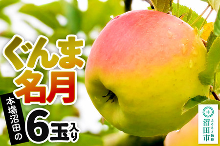 《2026年11月下旬～12月中旬発送》先行予約 果実の里 原田農園 ぐんま名月 1箱 6玉入り
