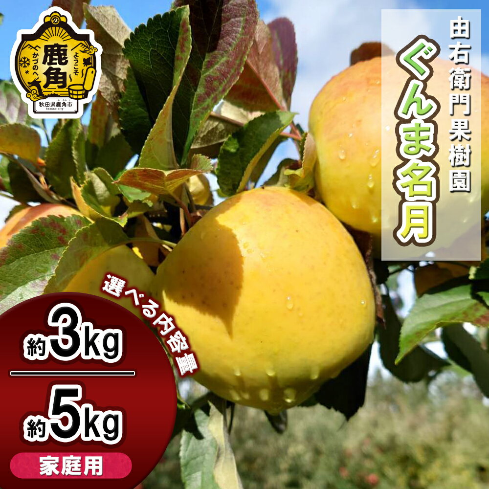 【ふるさと納税】《 先行予約 》 由右衛門果樹園 りんご 家庭用 「 ぐんま名月 」 約3kg / 約5kg りんご 林檎 リンゴ ぐんま名月 ぐんま 名月 産地直送 農家直送 故郷 秋田 あきた 鹿角市 鹿角 かづの 送料無料【由右衛門果樹園】●2025年11月中旬発送開始