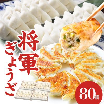 ふるさと納税 大分市 将軍ぎょうざ 80個 (20個×4箱)_A02031
