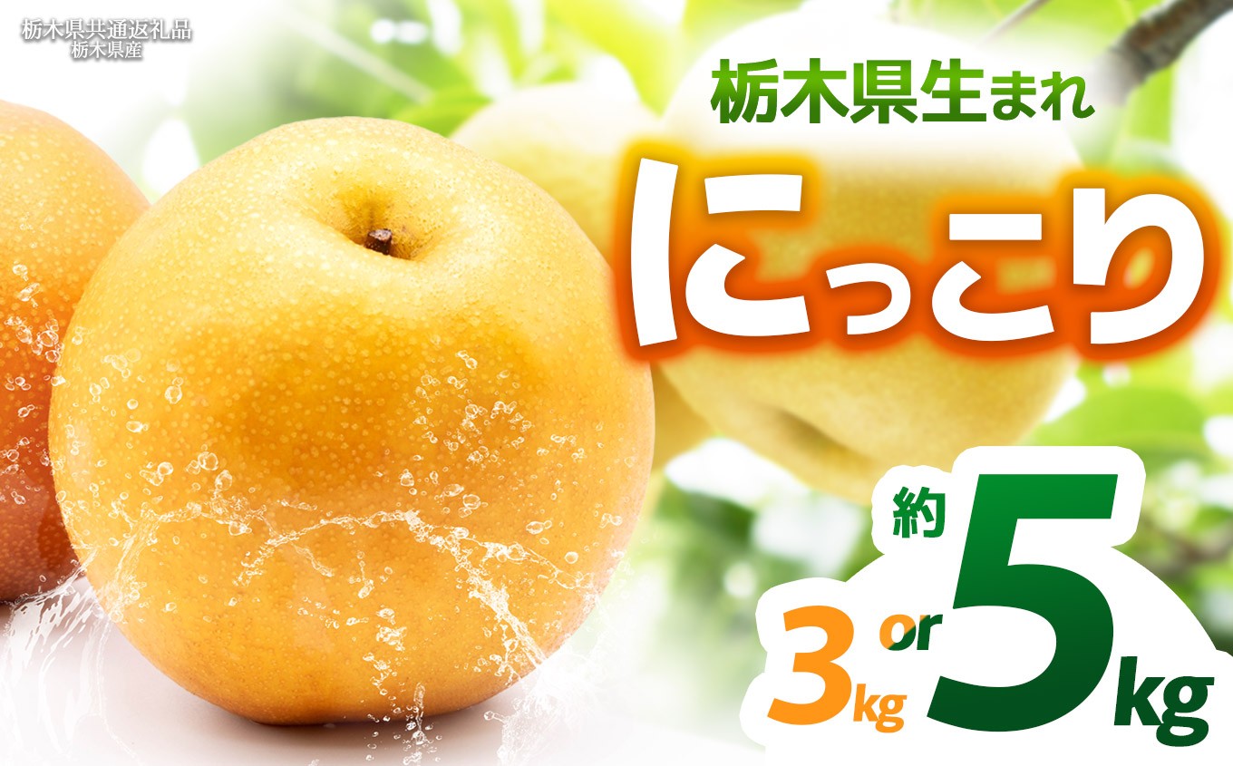 
                  【栃木県共通返礼品】【2026年先行予約】【選べるグラム数】にっこり 約3kg 5kg |にっこり 梨 なし ナシ 新品種 先行予約 大粒 新鮮 甘い 美味しい 果物 くだもの フルーツ ふるーつ 共通返礼品 フルーツ デザート 栃木県 那珂川町
                
