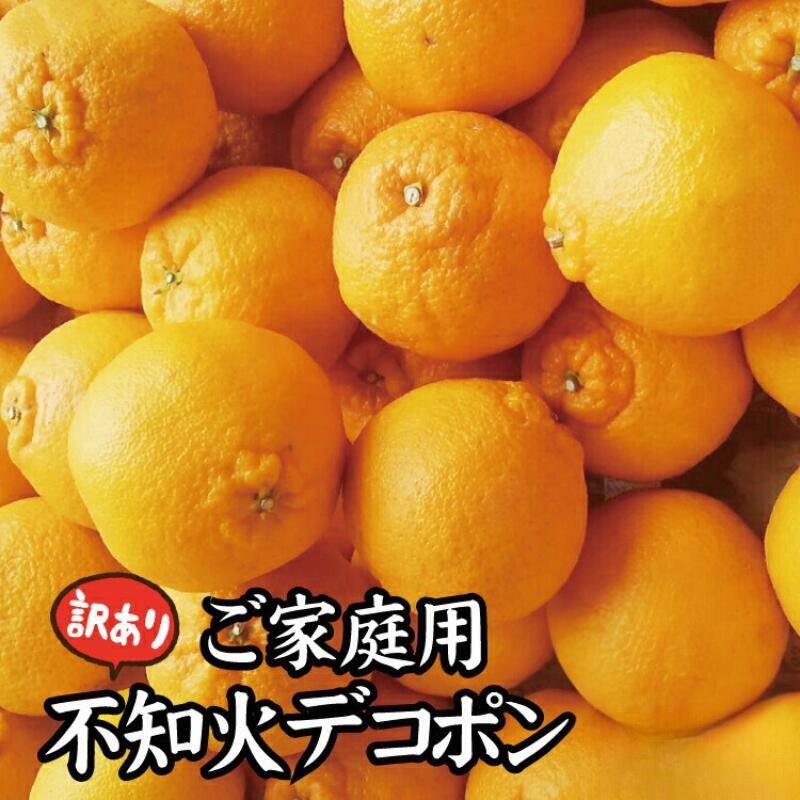【ふるさと納税】 《 額田農園限定レビューキャンペーン対象 》【訳あり】ちょこっと訳あり不知火デコポン 5kg 先行予約 訳あり デコポン みかん ※2026年2月中旬～4月中旬に発送予定（お届け日指定不可） 不知火 しらぬい デコポン 柑橘