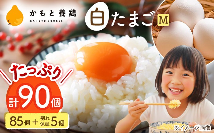 
                  卵 たまご 白たまご M玉 90個（85個＋5個割れ保証）【株式会社 かもと養鶏】 [ZCA001]  タマゴ 玉子 熊本県 山鹿市 鶏卵 生卵 卵パック 新鮮卵 オムレツ 卵かけご飯 卵焼き 卵黄 卵白 お菓子作り
                