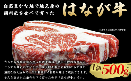 ＜熟成肉 はなが牛リブロースブロック約500g（500g×1個）＞ 牛肉 ステーキ 鉄板焼き 焼き肉 国産 塊肉 かたまり 霜降り しもふり バーベキュー BBQ キャンプ アウトドア 特産品 ゆうぼ