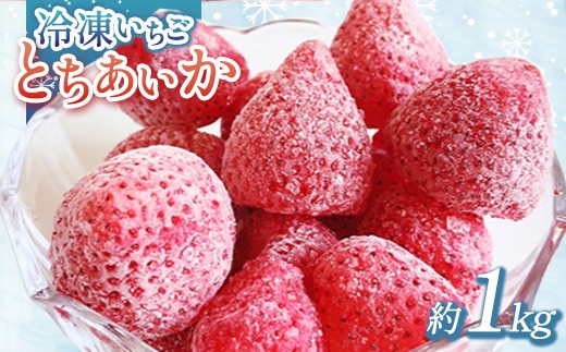 
                  出会いの森いちご園 冷凍いちご （1kg） | いちご イチゴ 苺 栃木県 果物 くだもの フルーツ とちあいか 新鮮 贈答 ギフト デザート スイーツ 冷凍 ※離島への配送不可 ※2026年5月中旬頃までに順次発送予定
                