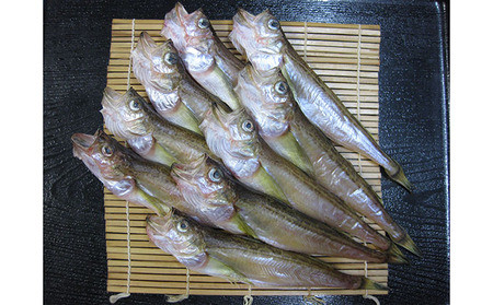 【配送不可：離島】ハタハタ 450g 2箱 干物 一夜干し × 海鮮 干物 ハタハタ