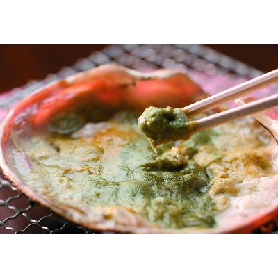 ふるさと納税 鯖江市 【11月6日漁解禁】福井冬の味覚!越前がに 1杯 (1,100〜1,200g) |  | 02