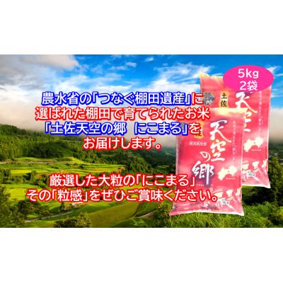 ふるさと納税 本山町 ★令和7年産★　本山町の棚田で育てられた棚田米　「土佐天空の郷にこまる」10kg |  | 02