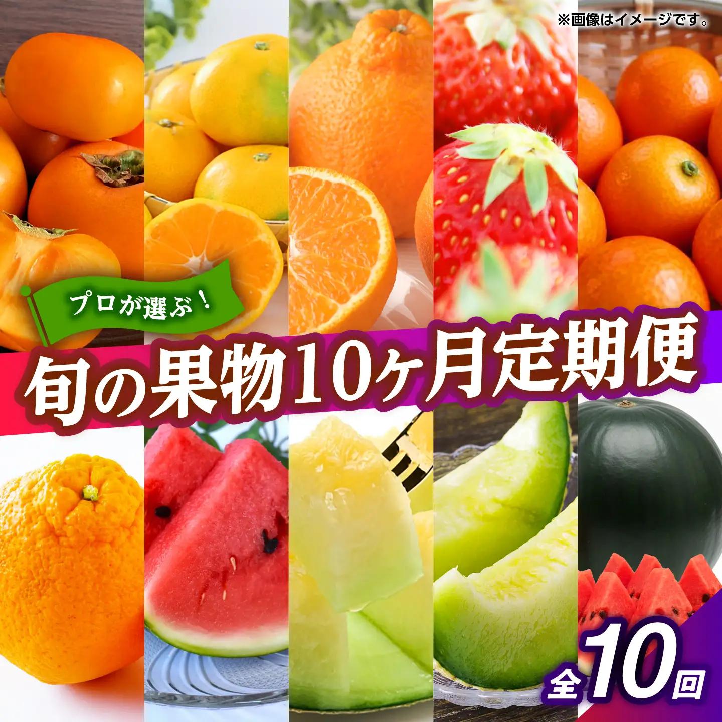 【先行予約】フルーツ10ヶ月定期便　10月～7月　ZBG078