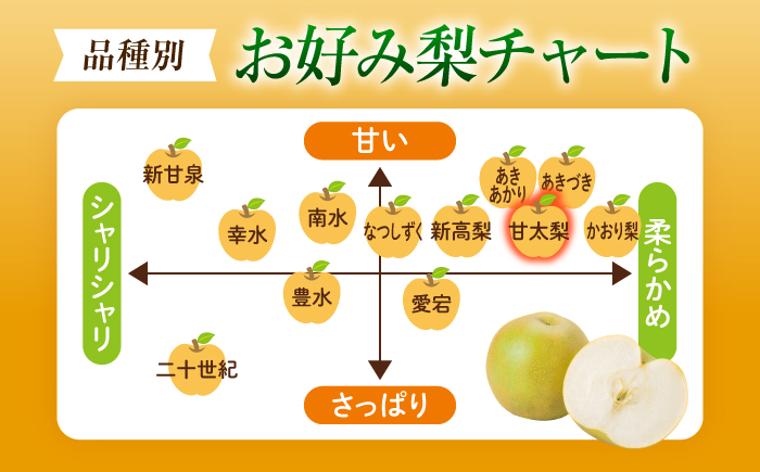【先行予約】稲田ペアファームの甘太梨 （かんたなし） 7〜9玉 〈2026年9月〜発送〉 ／ フルーツ 果物 くだもの 食品 人気 おすすめ 梨 なし 甘太梨 かんたなし 和梨 甘い 【株式会社内子フ