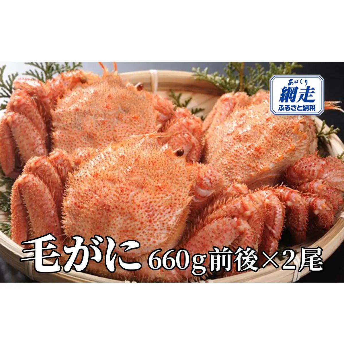 網走産 毛がに1.98kg前後（660g前後×3尾） ABW110