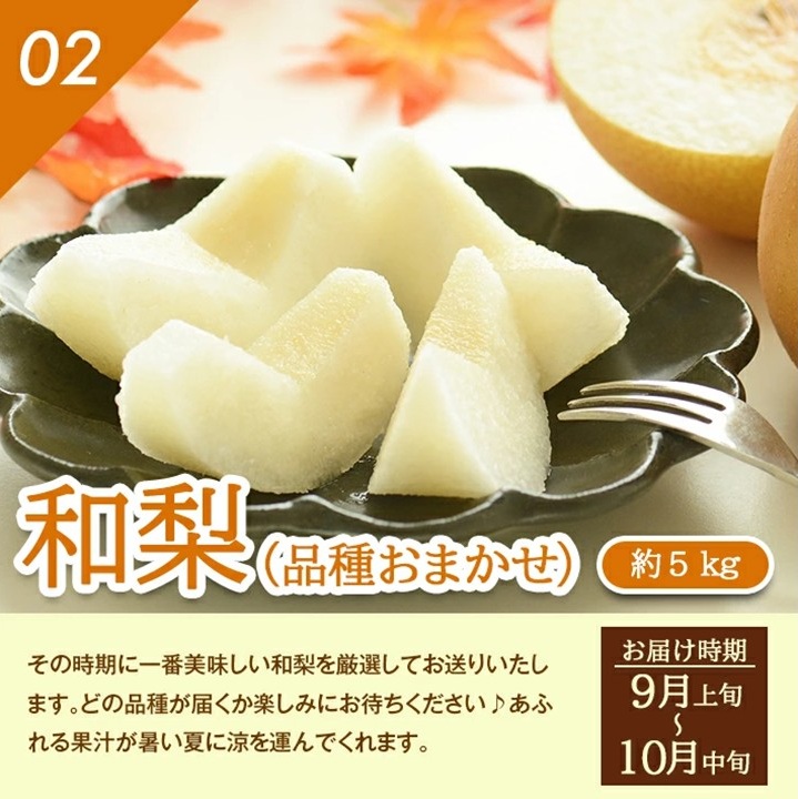 SG0056　【4回定期便】季節のフルーツ頒布会2025(アンデスメロン、和梨、庄内柿、洋梨〔シルバーベル〕)