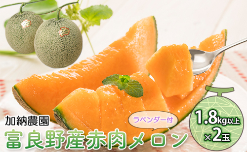 【2025年7月～発送】富良野産 赤肉 メロン ≪ラベンダー付≫ 1.8kg以上×2玉 北海道 富良野市 (加納農園) メロン フルーツ 果物 新鮮 甘い 贈り物 ギフト 道産 ジューシー おやつ ふらの ブランド 夏