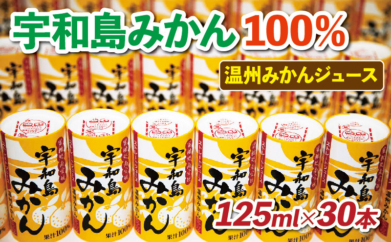 
＼10営業日以内発送／ みかんジュース 宇和島 みかん 温州みかん 125ml ×30本 愛工房フルーツ ジュース 100％ジュース ストレートジュース みかん mikan 蜜柑 果汁100％ 紙パック 飲料 柑橘 スイーツ 果物 くだもの 産地直送 国産 愛媛 H020-034002
