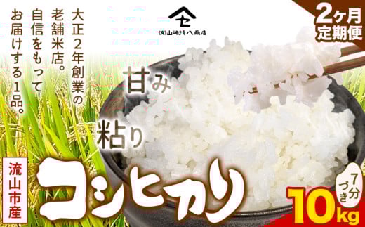 【毎月定期便2回】コシヒカリ 米 10kg《お申込み月の翌月から出荷開始》  新川耕地 7分づき 単発 千葉県 流山市 送料無料 米 こめ ごはん st-p