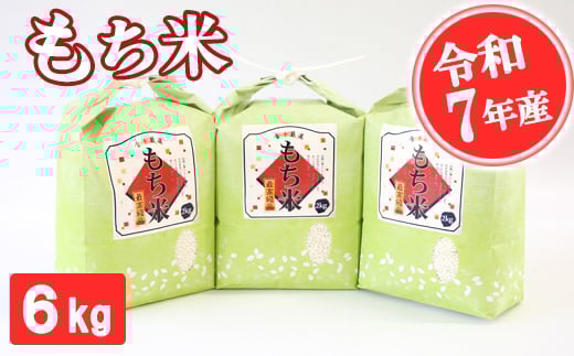 【令和7年産】もち米 6kg  精米 熊本県 南関町産 産地直送 餅 赤飯 おこわ