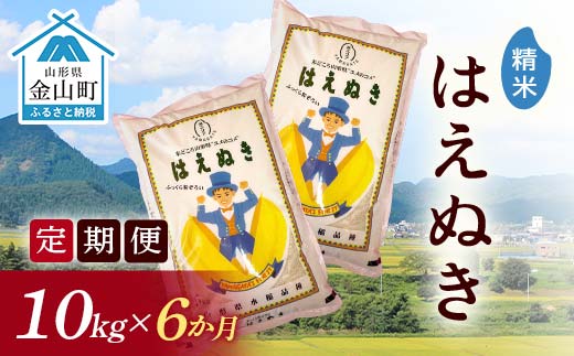 令和7年産《定期便》 金山産米 はえぬき 【精米】（5kg×2袋）×6ヶ月 計60kg 定期便 米 お米 白米 ご飯 ブランド米 送料無料 東北 山形 金山町 F4B-0684