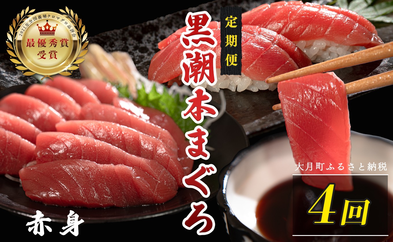 
                  訳あり 不定貫 定期便 4回 国産 養殖本マグロ 赤身 毎回120g×4回 黒潮本まぐろ 全国養殖クロマグロ品評会 最優秀賞受賞 4ヶ月 4か月 柵 刺身用 本マグロ クロマグロ 本鮪 まぐろ 鮪 お刺身 さしみ 海鮮丼 漬け丼 手巻き寿司 鉄火丼 まぐろ丼 小分け 個包装 真空パック 冷凍 不揃い 家庭用 海鮮 年末年始 高知県 大月町 2万円
                