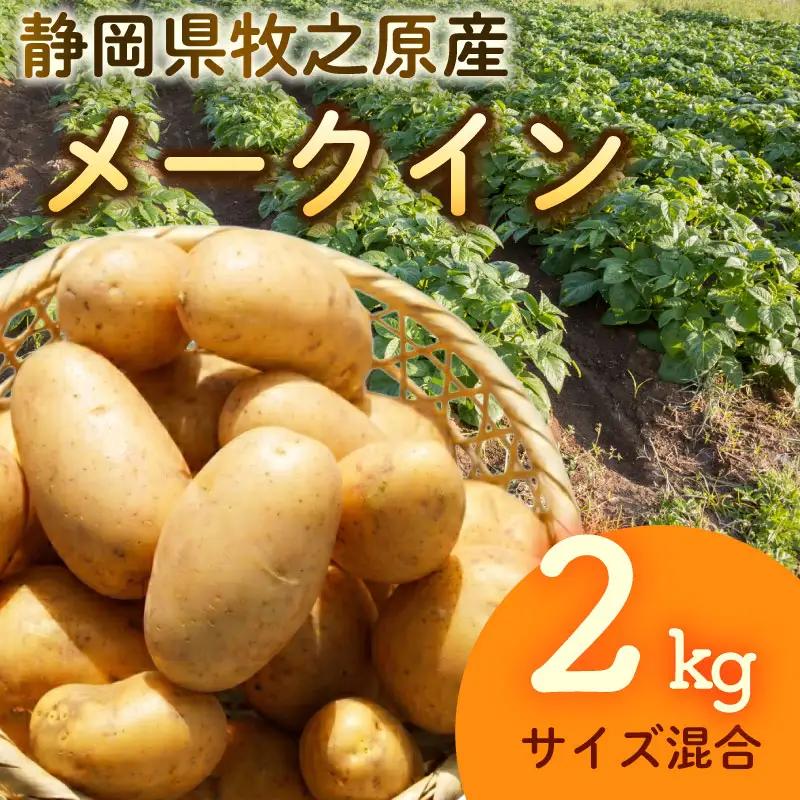 【先行予約 2027年3月順次発送 国産 じゃがいも】掘りたてメークイン 2kg  新じゃが  丸新柴本製茶 静岡 県 牧之原市