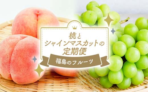 福島のフルーツ お試し 桃とシャインマスカットの定期便（あかつき約1.1kg・シャインマスカット約1kg） 桃 あかつき 特秀 ぶどう シャインマスカット 定期便 伊達の桃 もも モモ 果物 くだもの フルーツ 国産 名産 食品 F21C-118
