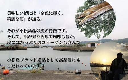 ハモ 切り身 500g 小松島産 鱧 ハモ