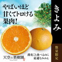 【ふるさと納税】【特秀品】天空の果樹園から届く そらきよみ (3.5kg)【C45-73】【1339371】