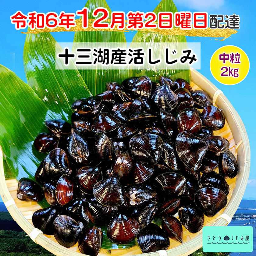 [令和6年12月第2日曜日配達] さとうしじみ屋の十三湖産活しじみ(中粒2kg)[冷蔵]｜十三湖産 青森 津軽 つがる しじみ みそ汁 味噌汁 しじみ汁 活しじみ 冷蔵 [0585]