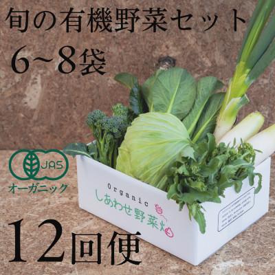 ふるさと納税 掛川市 【毎月定期便】しあわせ野菜畑の有機野菜　Sセット　(安心の有機JAS認証　オーガニック野菜)全12回