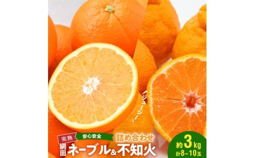 101-12 村田果樹園　網田ネーブルと不知火の詰め合わせ　約3kg