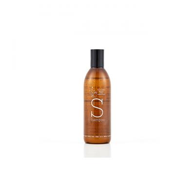 ふるさと納税 姫路市 美容室がつくったシャンプー　「PUT ON MAGIC」 300g[53650438]