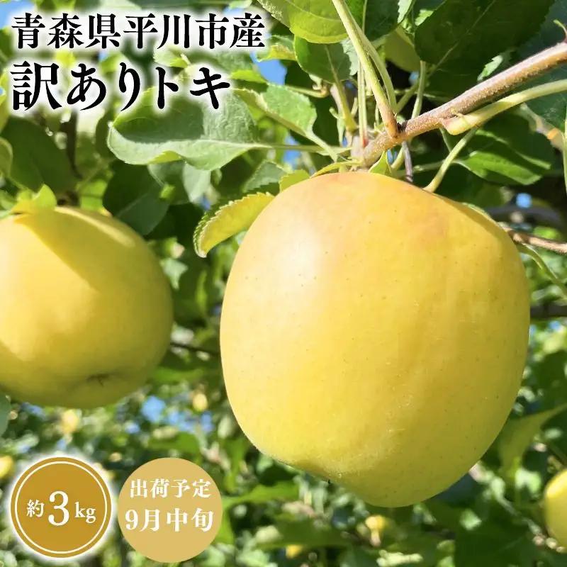 りんご 家庭用 トキ 約3kg 青森県平川市産 りんご