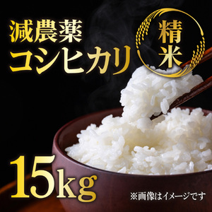 【令和7年度産】 減農薬コシヒカリ 精米 15kg / 米 白米 減農薬 綾部市 / 森本ファーム［BSDH043］