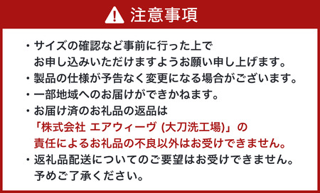 【大刀洗町限定】エアウィーヴ 四季布団 和匠 ダブル × エアウィーヴ ピロー スリム“みな実のまくら” セット