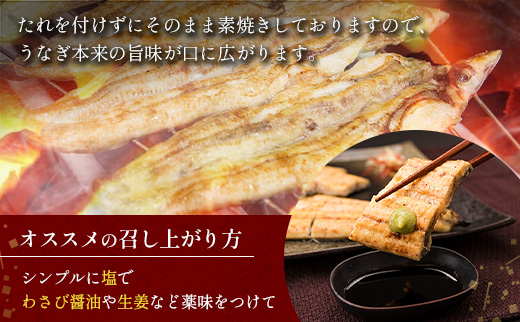 ［訳あり・不揃い］うなぎ白焼き 合計1kg（4～10尾入り）玄人の一品 バラツキ 数量限定 宮崎県産 冷凍 蒲焼タレ付【E224】