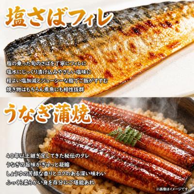 ふるさと納税 美浜町 【毎月定期便】海鮮彩りセットB(サバフィレ・うなぎ蒲焼・紅鮭切身・海鮮漬)全4回 |  | 01