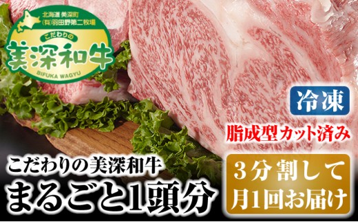 
[№5894-0254]北海道 こだわりの美深和牛1頭分（冷凍）3分割して月1回お届け
